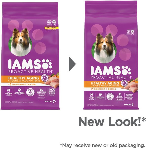 Iams ProActive Health Senior Plus Dry Dog Food