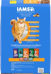 Iams Proactive Health Healthy Enjoyment Immune Support Chicken & Salmon Adult Dry Cat Food 15-lb bag slide 2 of 9