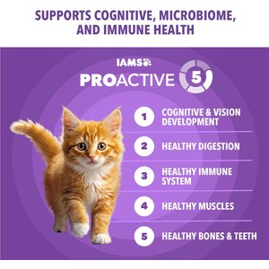 Iams Proactive Health Kitten Chicken Recipe Dry Cat Food, 16-lb bag