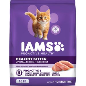 Iams Proactive Health Kitten Chicken Recipe Dry Cat Food, 16-lb bag