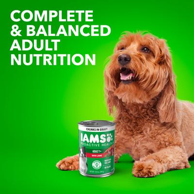 Show full view: Iams Proactive Health Lamb Chunks in Gravy Canned Wet Dog Food, 13-oz can, case of 12 slide 9 of 10