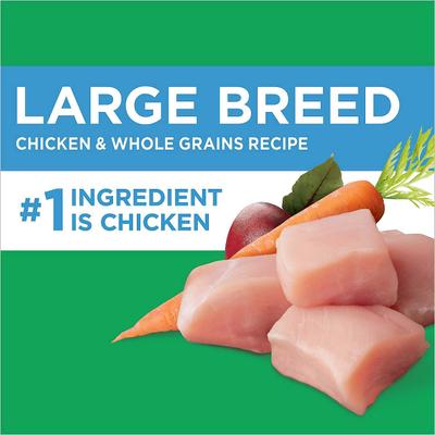 Iams Proactive Health Large Breed Adult with Real Chicken Dry Dog Food