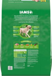 Iams Proactive Health Large Breed Adult with Real Chicken Dry Dog Food, 44-lb bag slide 2 of 9