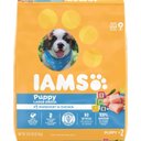 Iams Proactive Health Large Breed Puppy with Real Chicken Dry Dog Food, 61.2-lb bundle