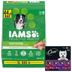 Iams Proactive Health MiniChunks Small Kibble Chicken & Whole Grain Dry Food + Cesar Classic Loaf in Sauce Beef Recipe, Filet Mignon, Grilled Chicken, & Porterhouse Steak Flavors Variety Pack Wet Dog Food