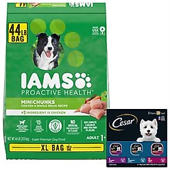 Iams Proactive Health MiniChunks Small Kibble Chicken & Whole Grain Dry Food + Cesar Filets in Gravy Beef Flavors Variety Pack Wet Dog Food