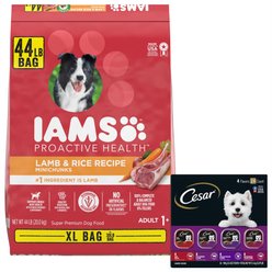 Iams Proactive Health Minichunks Small Kibble with Lamb & Rice Dry Food + Cesar Classic Loaf in Sauce Beef Recipe, Filet Mignon, Grilled Chicken, & Porterhouse Steak Flavors Variety Pack Wet Dog Food