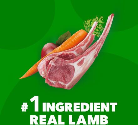 Show full view: Iams Proactive Health Minichunks Small Kibble with Lamb & Rice Dry Food + Pedigree Chopped Ground Dinner Variety Pack Wet Dog Food slide 9 of 9