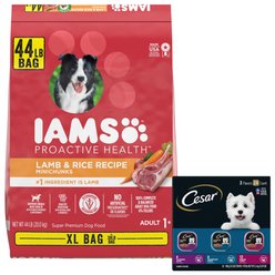 Iams Proactive Health Minichunks Small KibbleLamb & Rice Dry Food + Cesar Filets in Gravy Beef Flavors Variety Pack Wet Dog Food