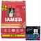 Show in main carousel: Iams Proactive Health Minichunks Small KibbleLamb & Rice Dry Food + Cesar Filets in Gravy Beef Flavors Variety Pack Wet Dog Food slide 1 of 9
