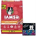 Bundle: Iams Proactive Health Minichunks Small KibbleLamb & Rice Dry Food + Cesar Filets in Gravy Beef ...