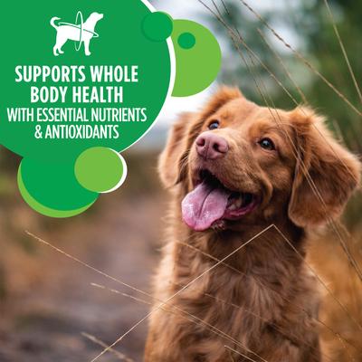 Iams Proactive Health Minichunks with Real Chicken & Whole Grains Dry Dog Food