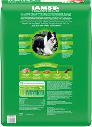 Iams Proactive Health Minichunks with Real Chicken & Whole Grains Dry Dog Food, 40-lb bag slide 2 of 9