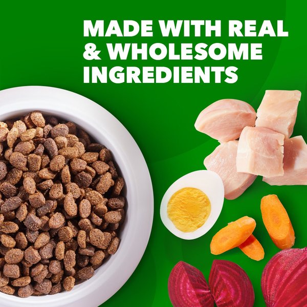 Show full view: Iams Proactive Health Minichunks with Real Chicken & Whole Grains Dry Dog Food, 7-lb bag slide 5 of 11