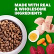 Show in main carousel: Iams Proactive Health Minichunks with Real Chicken & Whole Grains Dry Dog Food, 7-lb bag slide 5 of 11