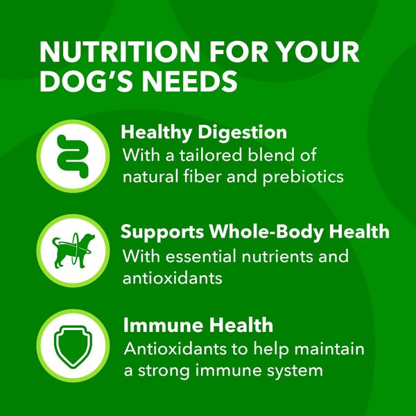 Show full view: Iams Proactive Health Minichunks with Real Chicken & Whole Grains Dry Dog Food, 7-lb bag slide 6 of 11