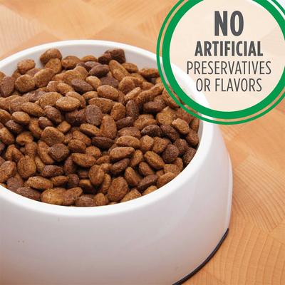 Iams Proactive Health Minichunks with Real Chicken & Whole Grains Dry Dog Food