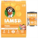 Iams Proactive Health Puppy High Protein DHA Formula Real Chicken Dry Food + Classic Ground Chicken & Rice Puppy Wet Dog Food