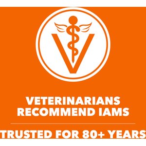 Iams Proactive Health Sensitive Digestion & Skin Turkey Dry Cat Food, 13-lb bag