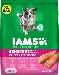 Iams Proactive Health Sensitive Skin & Stomach Adult Salmon Recipe Dog Food, 36-lb bag