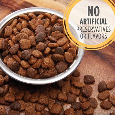 Show full view: Iams ProActive Health Smart Puppy Large Breed Dry Food, 30.6-lb bag + American Journey Beef Recipe Grain-Free Soft & Chewy Training Bits Dog Treats slide 4 of 9