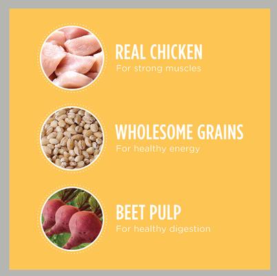 Show full view: Iams Proactive Health Smart Puppy with Real Chicken Dry Dog Food, 30-lb bundle slide 4 of 11