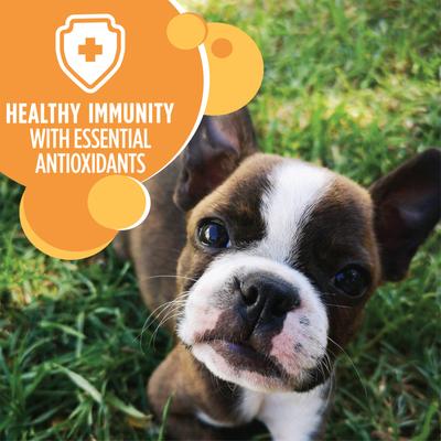 Iams Proactive Health Smart Puppy with Real Chicken Dry Dog Food