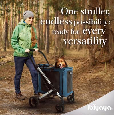 Show full view: Ibiyaya BigBuddy Pet Stroller & Crate, Crystal Teal slide 7 of 8