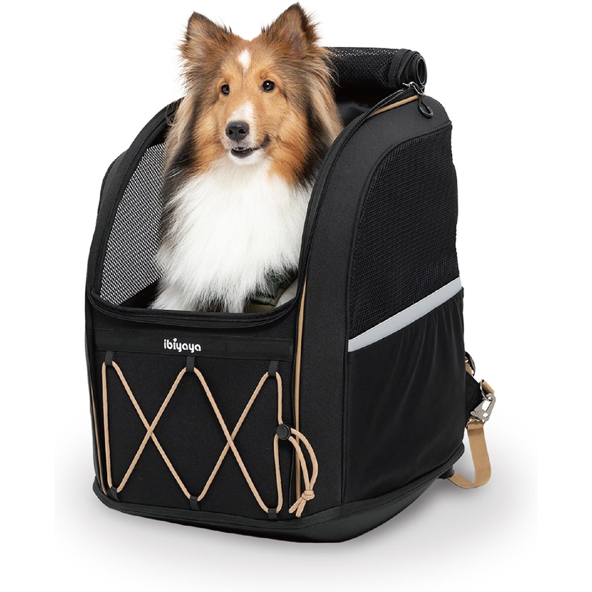 Ibiyaya Champion Large Backpack Dog Carrier, Jet Black
