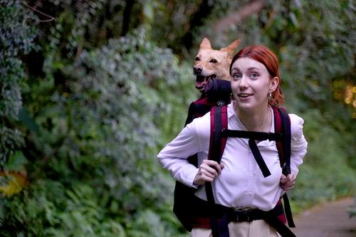 Show full view: Ibiyaya Champion Large Backpack Dog Carrier, Maroon slide 8 of 10