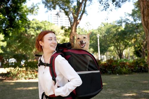 Show full view: Ibiyaya Champion Large Backpack Dog Carrier, Maroon slide 7 of 10