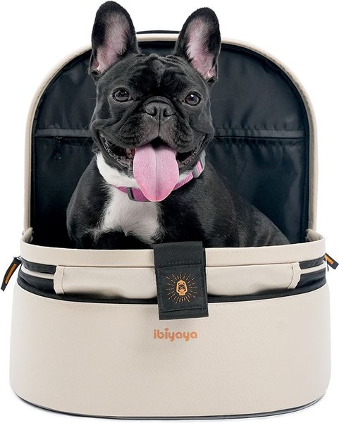 Airline Approved French Bulldog Front Carrier Expandable Dog