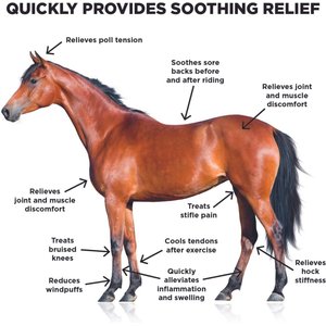 Ice Horse Cooling Liniment & Cold Therapy Extender Horse Liniment, 16-fl oz bottle