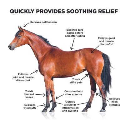 Show full view: Ice Horse Cooling Liniment & Cold Therapy Extender Horse Liniment, 16-fl oz bottle slide 3 of 5