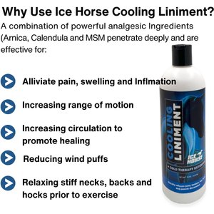 Ice Horse Cooling Liniment & Cold Therapy Extender Horse Liniment, 16-fl oz bottle