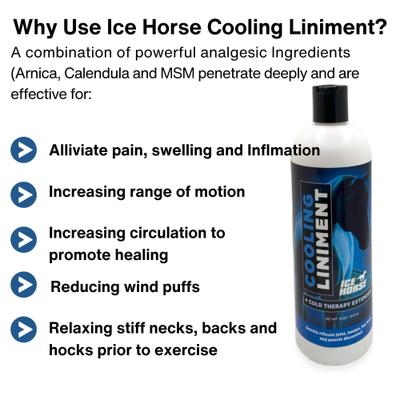 Show full view: Ice Horse Cooling Liniment & Cold Therapy Extender Horse Liniment, 16-fl oz bottle slide 4 of 5