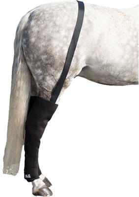 Show full view: Ice Horse Full Hind Horse Leg Wraps, 2 count slide 1 of 2