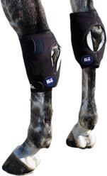 Ice Horse Hock Wrap, 2 count