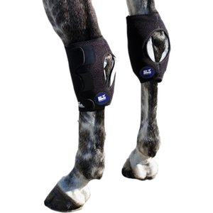Ice Horse Hock Wrap, 2 count