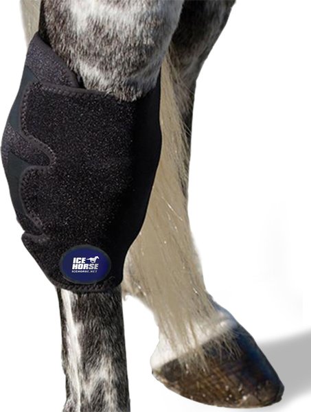 Ice Horse Hock Wrap, 2 count