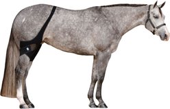 Ice Horse Horse Stifle Wrap, 2 count