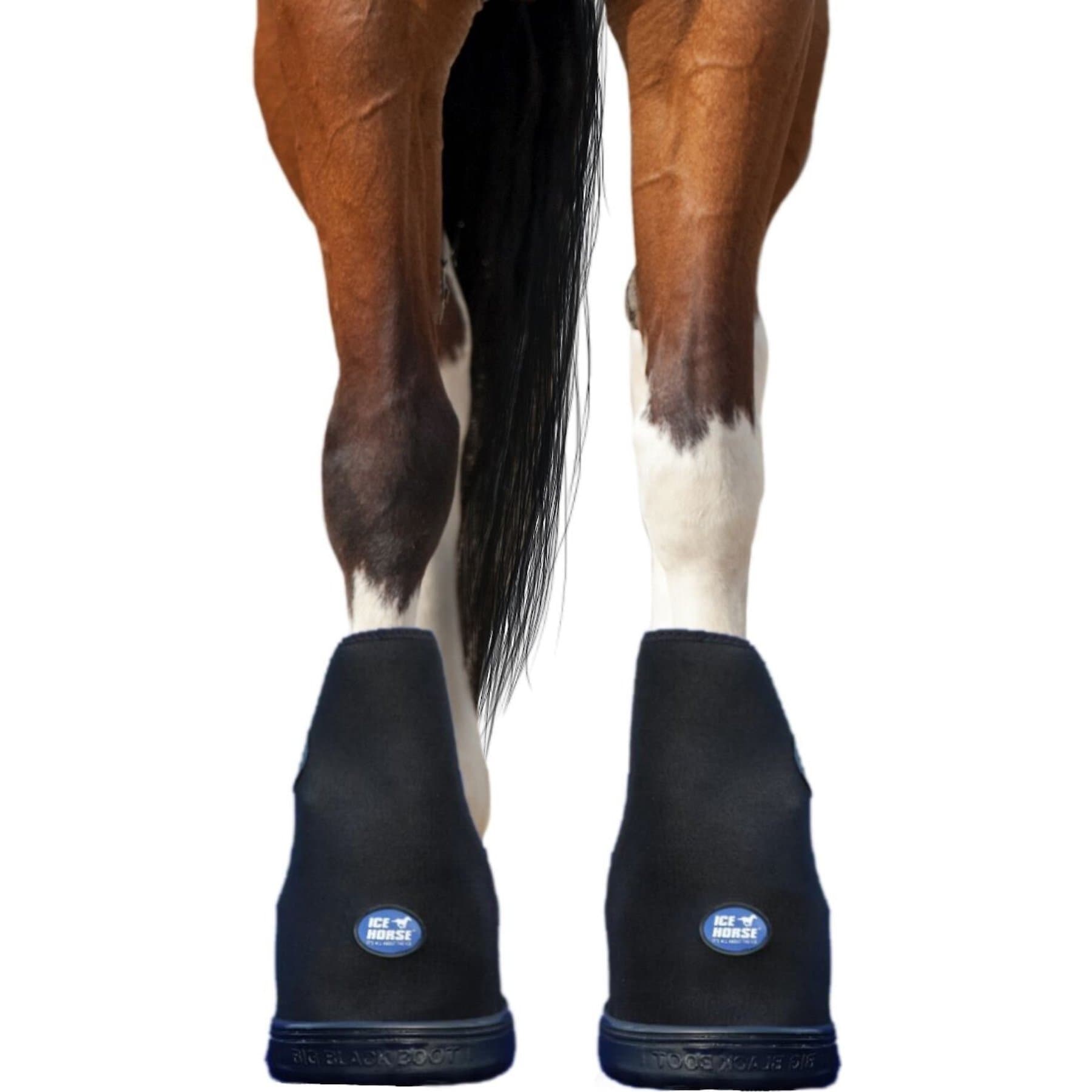 Ice Horse Single Laminitis Pro Therapy Horse Boot, Large, 2 count