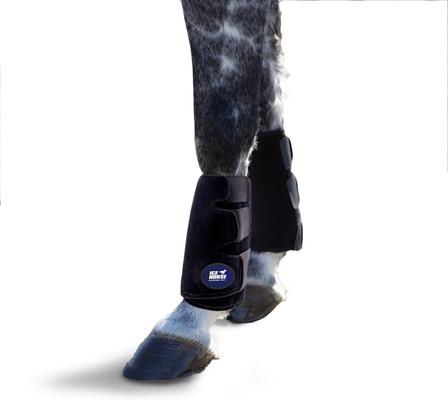 Show full view: Ice Horse Tendon Horse Leg Wrap, 2 count slide 1 of 6