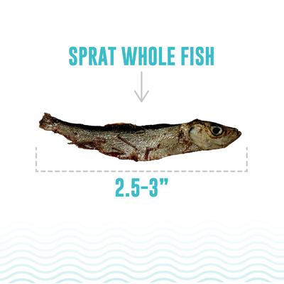 Show full view: Icelandic+ Grain-Free Sprats Whole Fish Adult Crunchy Cat Treats, 0.85-oz bag slide 6 of 7