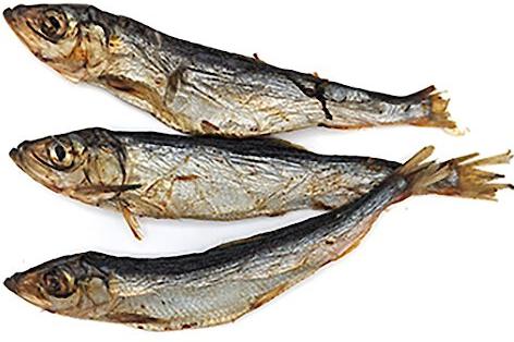 Show full view: Icelandic+ Herring Whole Fish Grain-Free Dog Treats, 3-oz bag slide 4 of 6