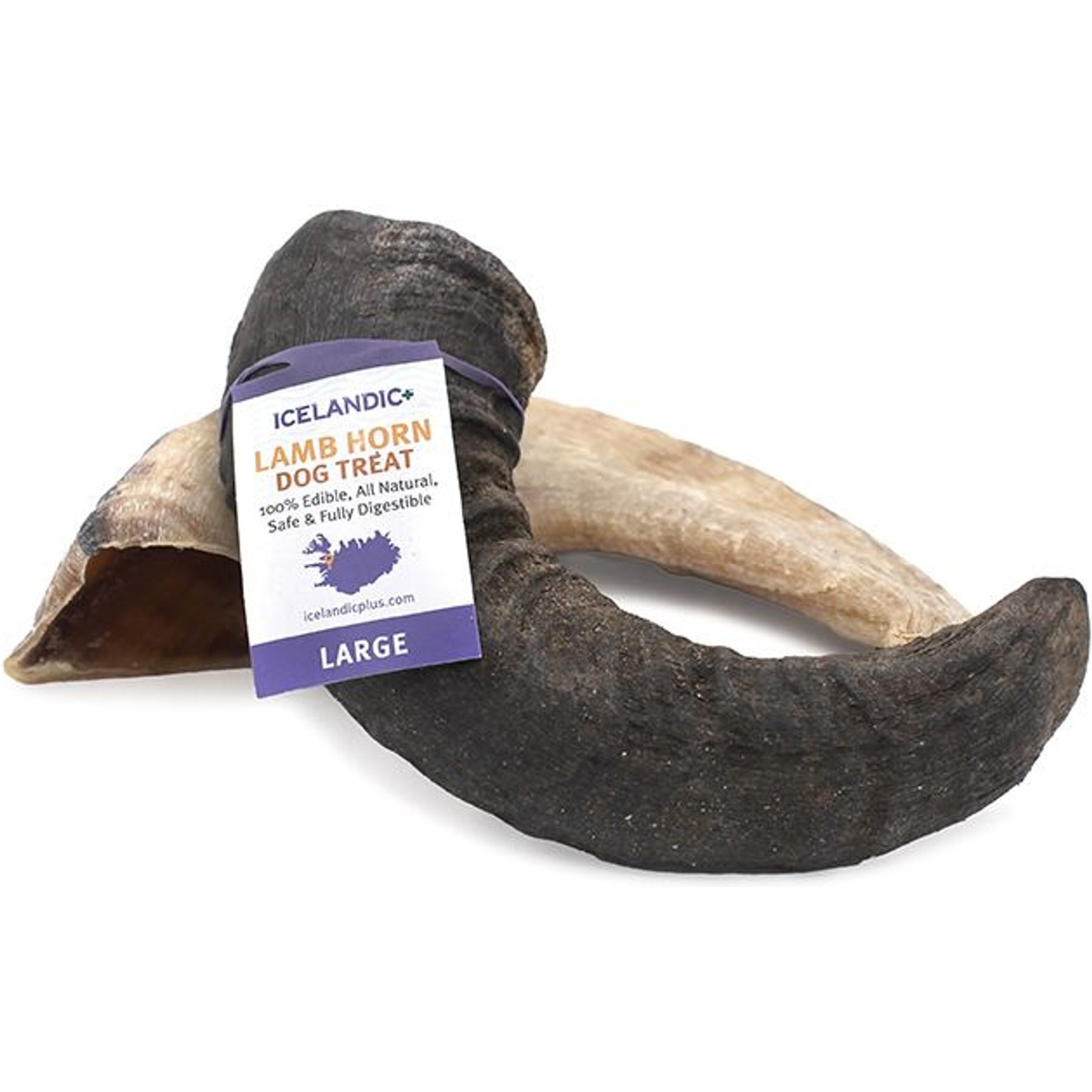 Icelandic+ Lamb Horn Large Dog Chew, 6.5-in