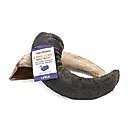Icelandic+ Lamb Horn Large Dog Chew, 6.5-in