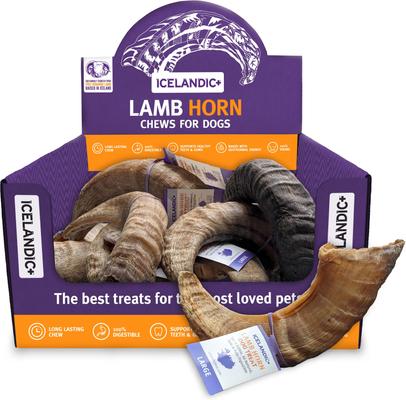 Show full view: Icelandic+ Lamb Horn Large Dog Chew, 6.5-in slide 3 of 7