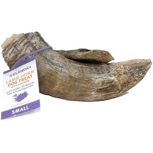Icelandic+ Lamb Horn with Marrow Dog Chew, 4-in, Small