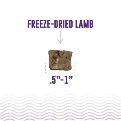 Show full view: Icelandic+ Land & Sea Cod Skin & Lamb Freeze-Dried Dog Treats, 2.4-oz bag slide 5 of 8